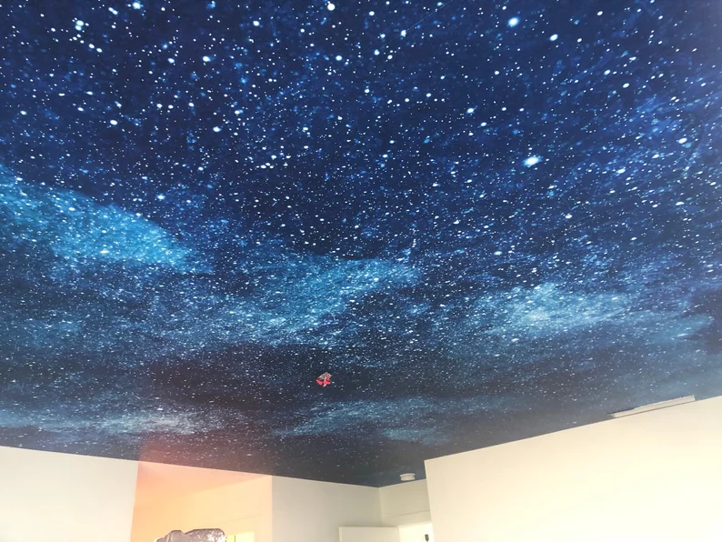 Print ceiling sticker, ceiling sticker, print decorative ceiling sticker